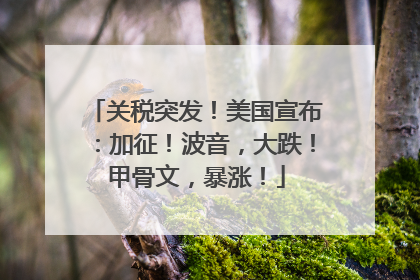 关税突发！美国宣布：加征！波音，大跌！甲骨文，暴涨！