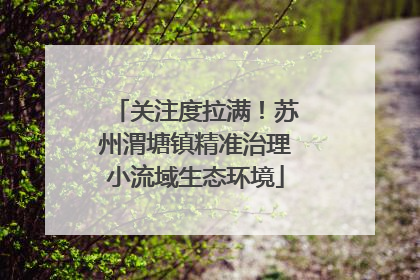 关注度拉满！苏州渭塘镇精准治理小流域生态环境