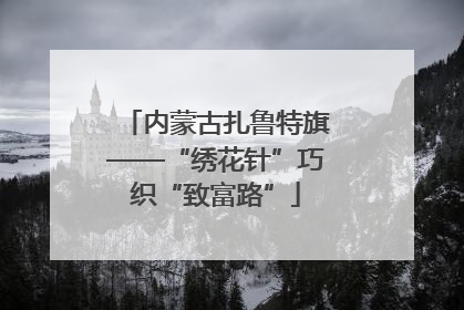 内蒙古扎鲁特旗——“绣花针”巧织“致富路”