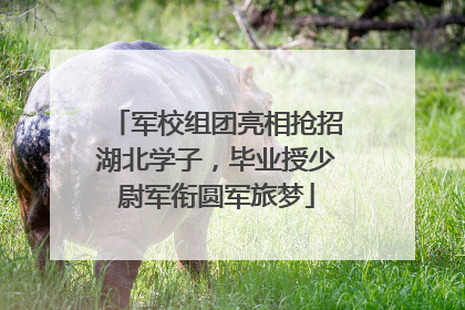 军校组团亮相抢招湖北学子，毕业授少尉军衔圆军旅梦