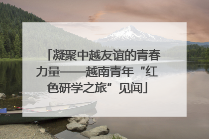 凝聚中越友谊的青春力量——越南青年“红色研学之旅”见闻