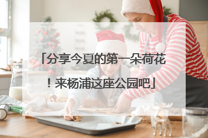 分享今夏的第一朵荷花！来杨浦这座公园吧