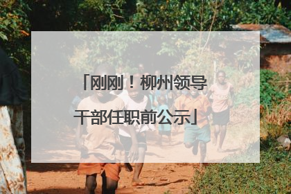 刚刚！柳州领导干部任职前公示