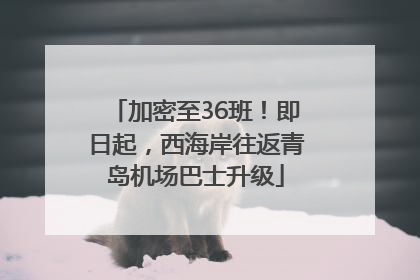 加密至36班！即日起，西海岸往返青岛机场巴士升级