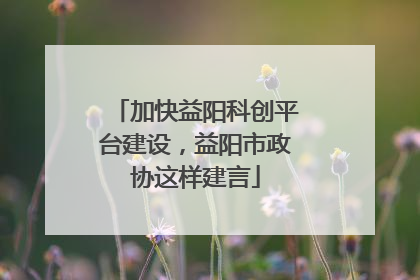 加快益阳科创平台建设，益阳市政协这样建言