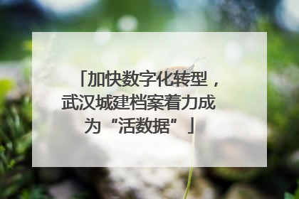 加快数字化转型，武汉城建档案着力成为“活数据”