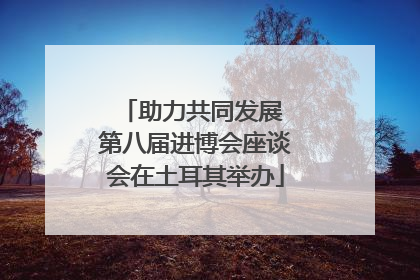 助力共同发展 第八届进博会座谈会在土耳其举办