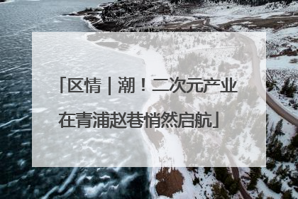 区情｜潮！二次元产业在青浦赵巷悄然启航