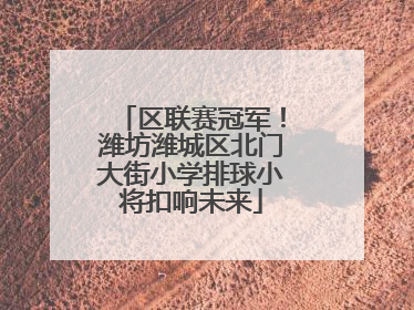 区联赛冠军！潍坊潍城区北门大街小学排球小将扣响未来