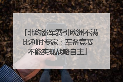 北约涨军费引欧洲不满 比利时专家：军备竞赛不能实现战略自主