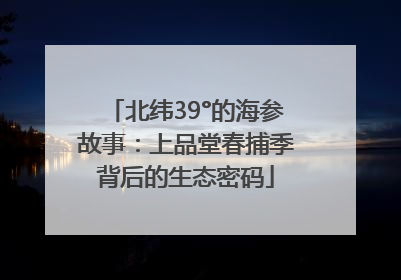 北纬39°的海参故事：上品堂春捕季背后的生态密码