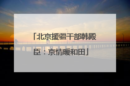 北京援疆干部韩殿臣：京情暖和田