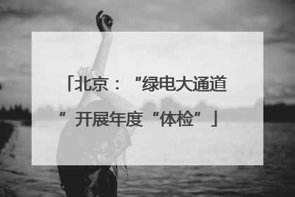 北京：“绿电大通道”开展年度“体检”