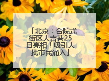 北京：合院式街区大吉巷25日亮相！吸引大批市民涌入