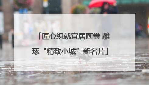匠心织就宜居画卷 雕琢“精致小城”新名片