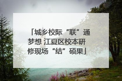 城乡校际“联”通梦想 江夏区校本研修现场“结”硕果