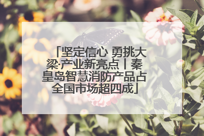 坚定信心 勇挑大梁·产业新亮点丨秦皇岛智慧消防产品占全国市场超四成