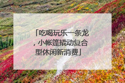 吃喝玩乐一条龙，小帐篷撬动复合型休闲新消费