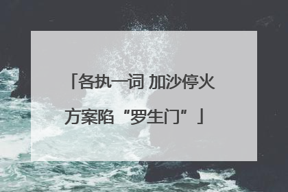 各执一词 加沙停火方案陷“罗生门”
