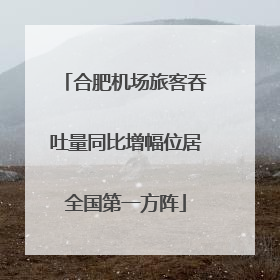 合肥机场旅客吞吐量同比增幅位居全国第一方阵