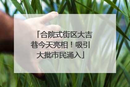 合院式街区大吉巷今天亮相！吸引大批市民涌入
