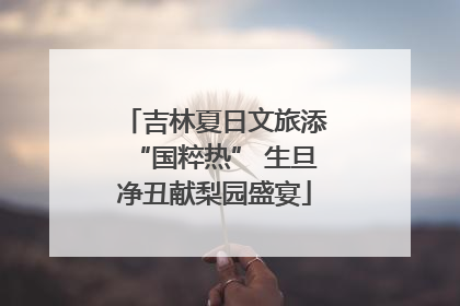 吉林夏日文旅添“国粹热” 生旦净丑献梨园盛宴