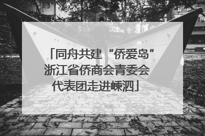 同舟共建“侨爱岛” 浙江省侨商会青委会代表团走进嵊泗