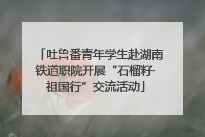 吐鲁番青年学生赴湖南铁道职院开展“石榴籽·祖国行”交流活动