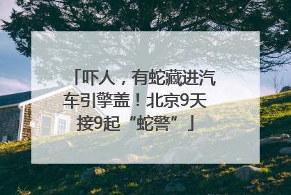 吓人，有蛇藏进汽车引擎盖！北京9天接9起“蛇警”