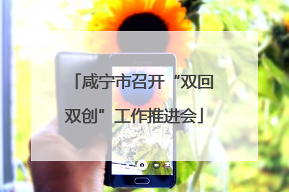 咸宁市召开“双回双创”工作推进会