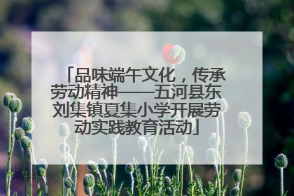 品味端午文化，传承劳动精神——五河县东刘集镇夏集小学开展劳动实践教育活动
