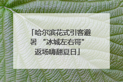 哈尔滨花式引客避暑 “冰城左右哥”返场嗨翻夏日
