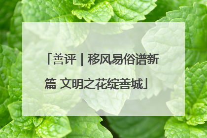 善评｜移风易俗谱新篇 文明之花绽善城