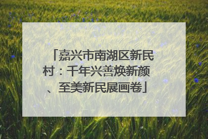 嘉兴市南湖区新民村：千年兴善焕新颜、至美新民展画卷