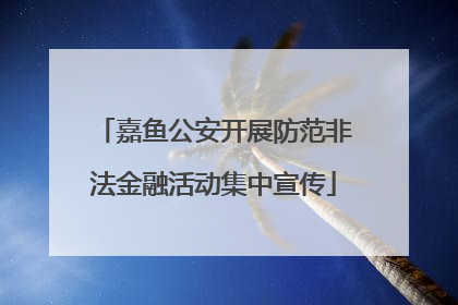 嘉鱼公安开展防范非法金融活动集中宣传