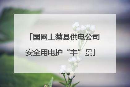 国网上蔡县供电公司安全用电护“丰”景