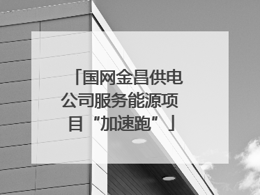 国网金昌供电公司服务能源项目“加速跑”