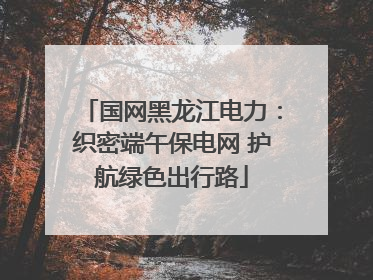 国网黑龙江电力：织密端午保电网 护航绿色出行路