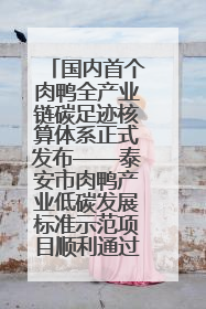 国内首个肉鸭全产业链碳足迹核算体系正式发布——泰安市肉鸭产业低碳发展标准示范项目顺利通过验收