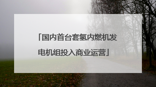 国内首台套氢内燃机发电机组投入商业运营