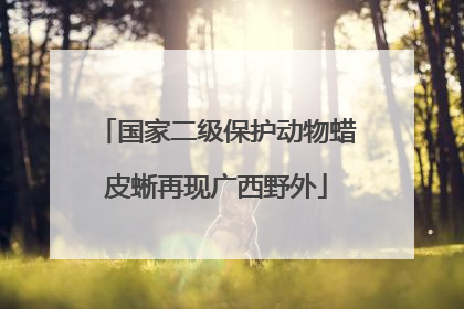 国家二级保护动物蜡皮蜥再现广西野外