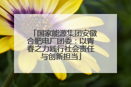 国家能源集团安徽合肥电厂团委：以青春之力践行社会责任与创新担当