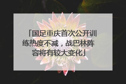 国足重庆首次公开训练热度不减，战巴林阵容将有较大变化