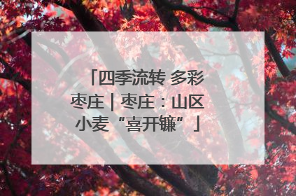 四季流转 多彩枣庄｜枣庄：山区小麦“喜开镰”