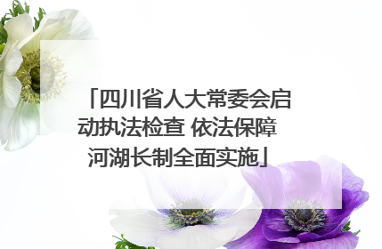 四川省人大常委会启动执法检查 依法保障河湖长制全面实施