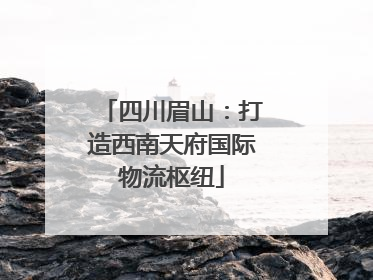 四川眉山：打造西南天府国际物流枢纽
