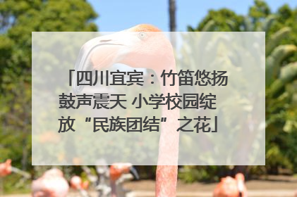 四川宜宾：竹笛悠扬鼓声震天 小学校园绽放“民族团结”之花