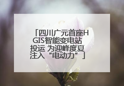 四川广元首座HGIS智能变电站投运 为迎峰度夏注入“电动力”