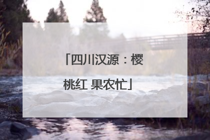 四川汉源：樱桃红 果农忙