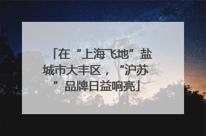 在“上海飞地”盐城市大丰区，“沪苏”品牌日益响亮